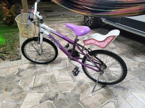 Bicicleta Infantil Feminina com Assento para boneca