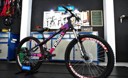 Bicicleta Viking 24