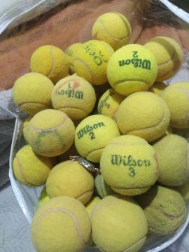 Bolas de Tênis Wilson - Usadas - 
