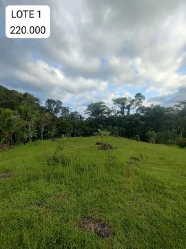 Lotes a partir de 150 mil