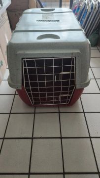 Caixa de Transporte para Cães Tam 4