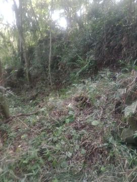 Terreno no sul da ilha 