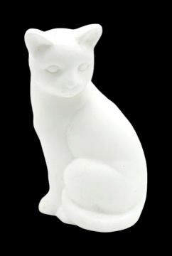 Gatinho Branco