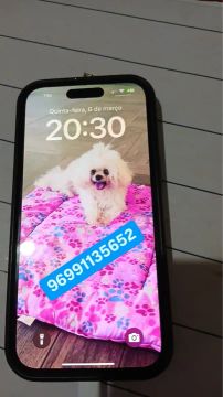 iPhone 15 tamanho 6.1