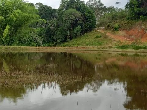 Fazenda mista em Ilhéus Fazenda mista sendo 