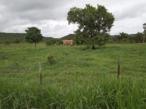 CHÁCARA DE 5 ALQUEIRES À VENDA A 50 KM DE PALMAS.