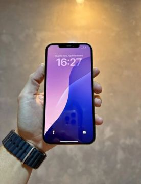 IPhone 12 pro max 256gb ( Semi Novo )