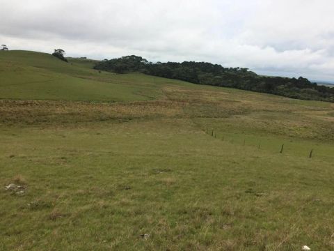 Lote em São Francisco de Paula - Centro - São Francisco de Paula/RS