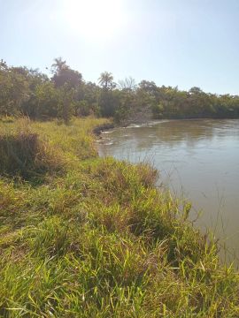 CÓD. 450  FAZENDA À VENDA  RIO VERDE/MS  275 HECTARES