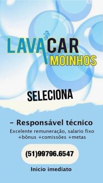 Lavador de veículos(Gerente) e Auxiliar de lavagem. 