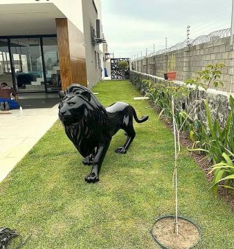 Escultura de leão modelo