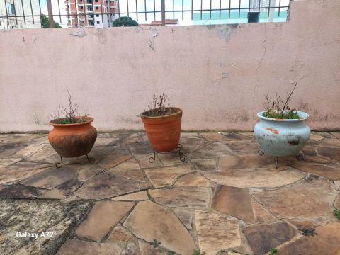 VENDO VASOS DE CERÂMICA,  CADA UM R$ 50,00. 