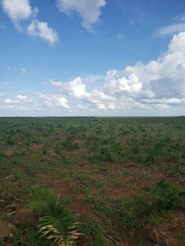 6.800 Hectares a venda no Piauí 