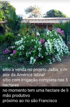 Vende-se sitio em Jaíba-MG