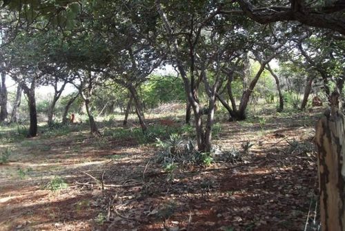 Grande oportunidade, chácara de 10.000m² no ?pé? da Serra do Cipó (Temos varias opções).