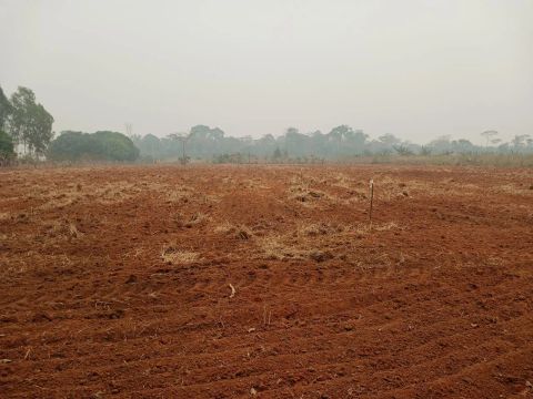 Chácara com 3 hectares 