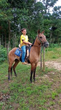 Vendo ou troco 