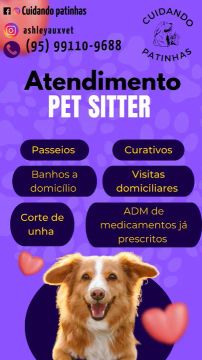 Pet Sitter - Cuidados Completos para seu Pet