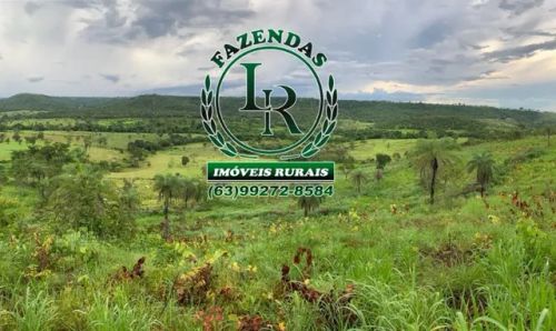 Fazenda / chácara 10 Alqueires Dupla Aptidão