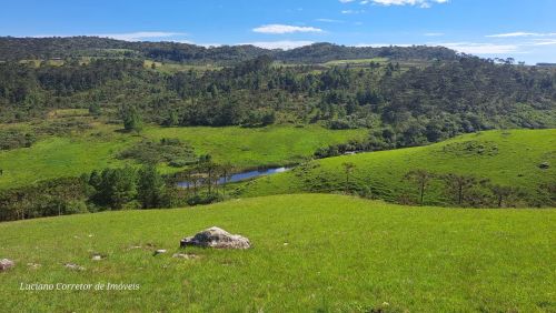 Seu pedaço do paraíso 