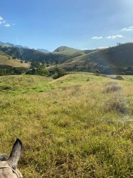 Venda de propriedade com 20 alqueires de terra