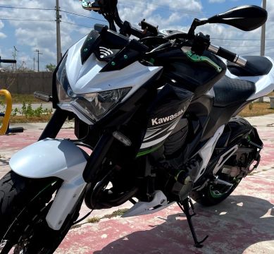 Z 800 2013