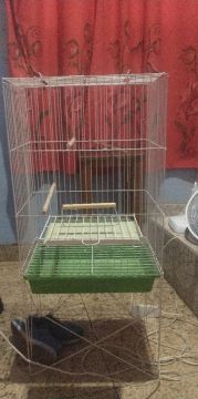 Gaiola para calopsita
