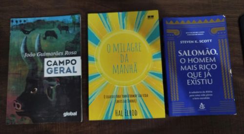 Livros em ótimo estado 