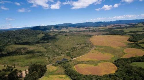 Terreno Rural de 125 Hectares em Bom Retiro/SC