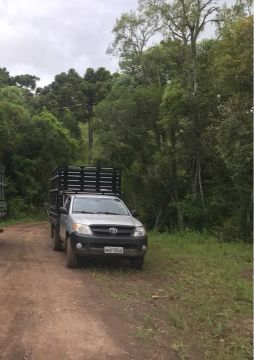 Toyota hilux com carroceria boiadeira
