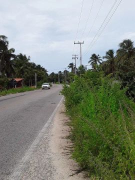 Lindo terreno no icaraizinho de amontada 