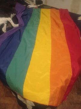 Bandeira Arco-íris para Decoração ou bandeira glbtqia+