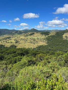 Terreno rural de 42,7 hectares em São Joaquim - possibilidade de venda fracionada