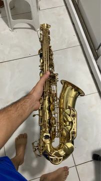 Sax alto shelter 