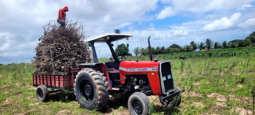 Trator Massey Ferguson 265 Usado