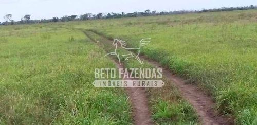 Fazenda/Sítio/Chácara para venda possui 240000000 metros quadrados em Amolar - Corumbá - M