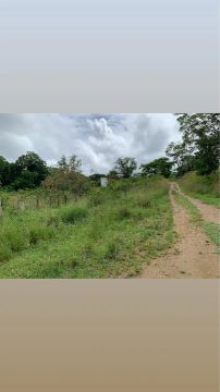 Vendo Sítio em Itabuna Bahia, ótima localização.. subida do Hospital de Base.. 