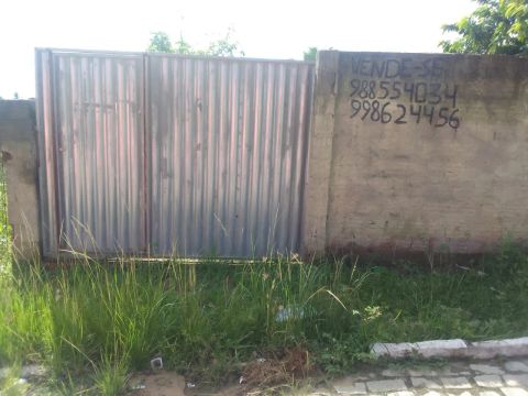 Terreno a venda no campo palmeira distrito Macaíba 