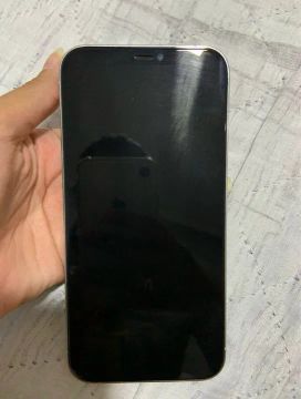 iPhone 12 Pro Max 