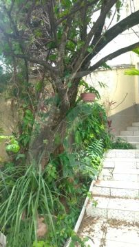 Casa 03 dormitórios no Jardim França, 03 vagas de garagem