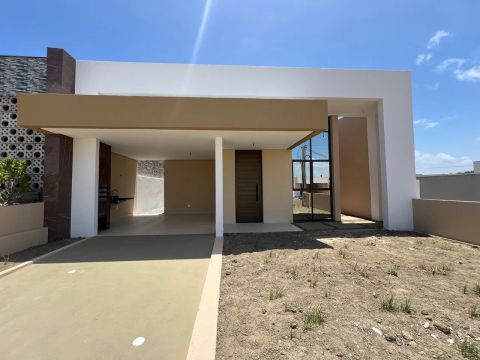 ALUGUEL 