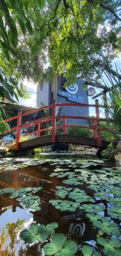 Ponto comercial - Restaurante completo