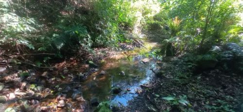 Chácara 10 hectares na floresta valor 265,000,00