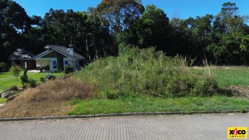 Terreno para Venda em Nova Petrópolis, Juriti