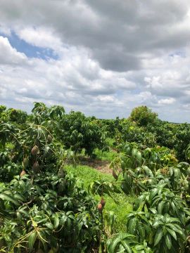 Tereno, próximo a linha verde e entre rios