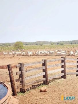 Fazenda à venda, AREA RURAL COCALINHO - MT - Cocalinho/MT