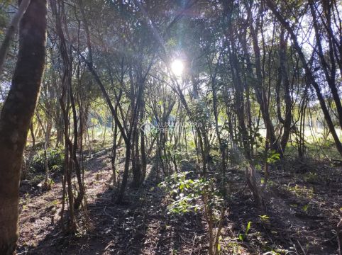 Sitio com excelente localização em Taquara RS, com 2.401,32 m² de área total, todo cercado