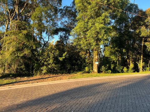 Terreno com vista eterna em Gramado