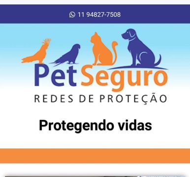 REDES DE PROTEÇÃO PARA GATOS 