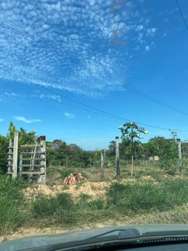 Terreno com área verde em ótima localização